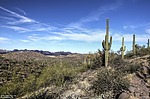 photo thumbnail #5