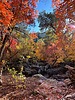photo thumbnail #14
