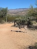 photo thumbnail #2