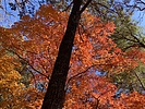 photo thumbnail #11
