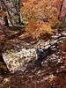 photo thumbnail #13