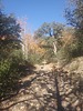 photo thumbnail #11