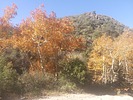 photo thumbnail #12
