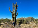 photo thumbnail #4