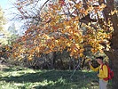 photo thumbnail #2