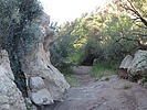 photo thumbnail #1