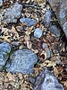 photo thumbnail #13