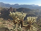 photo thumbnail #7