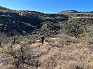 photo thumbnail #2
