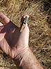 photo thumbnail #9