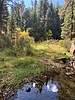 photo thumbnail #15