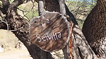 Featured Detail Photo