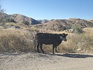 photo thumbnail #1