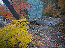 photo thumbnail #8