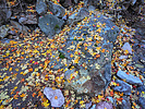 photo thumbnail #12