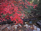 photo thumbnail #15