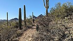 photo thumbnail #7
