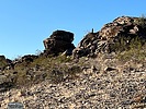 photo thumbnail #1
