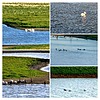 photo thumbnail #12