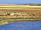photo thumbnail #14