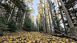 photo thumbnail #14