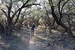 photo thumbnail #7