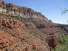 photo thumbnail #11