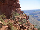 photo thumbnail #13