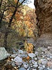 photo thumbnail #14
