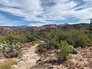 photo thumbnail #2