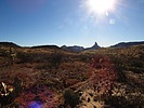 photo thumbnail #5