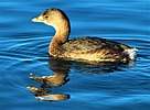 photo thumbnail #11
