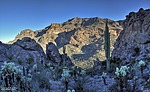 photo thumbnail #3