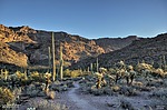 photo thumbnail #5