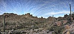 photo thumbnail #1