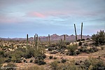 photo thumbnail #1