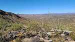 2022-11-25 :2: Woolsey Peak :: DixieFlyer