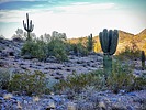 photo thumbnail #11