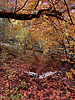 photo thumbnail #10