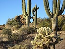 photo thumbnail #3