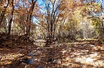 photo thumbnail #13