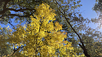 photo thumbnail #12