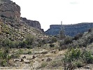 photo thumbnail #6