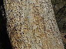 photo thumbnail #14