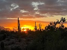 photo thumbnail #4