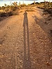 photo thumbnail #10