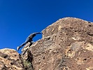 photo thumbnail #13