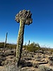 photo thumbnail #3