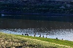 photo thumbnail #13