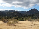 photo thumbnail #1